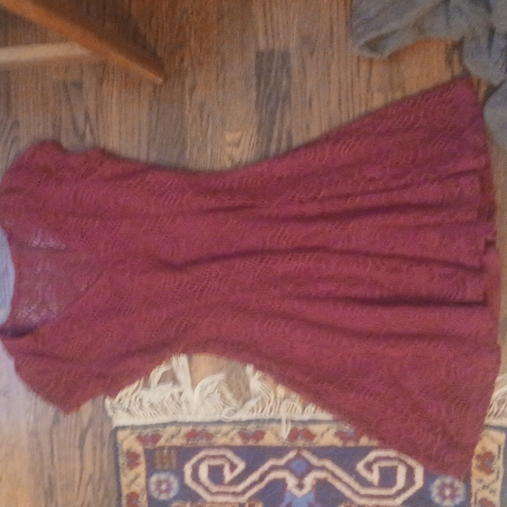 Express Deep Red Lace Dress
